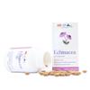 Echinacea with Goldenseal | 200 MG of Echinacea Extract Standarized to 4% Echinacosides | Supports a Healthy Immune System | Made in USA (60 Count) view 2