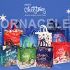 24 Large Multifunctional Non-Woven Gift Wrapping Bags - Christmas & Xmas Party Supplies, 15'13.8'5.9' view 4