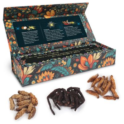 White Elephant Gifts For Adults - 0.78 Ounce Real Edible Flavored Insects For Humans, Funny Birthday Gifts, Weird Gifts (Tarantula & Assorted Bugs, Box of 3)