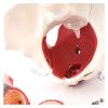 VENEZIANA Female Pelvic Model |3D Removable Organs Include Uterus, 3D Pelvic Floor Muscles and Reproductive Organs in Classrooms and Doctor's Offices view 3