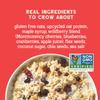 Seven Sundays Protein Oats, Wildberry, 32 Oz Bag (Pack of 4), Gluten Free, 10g Upcycled Protein, Enjoy Warm, Cool or as Overnight Oats view 3