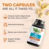 Zenwise Health No Bloat Digestive Enzymes for Gut Health, Gas & Bloating Relief - Multi Enzymes Digestion Supplement with Probiotics, Ginger, Turmeric Dandelion & Lactase - Men & Women - 48 Count view 3