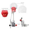 EUSONYSU Manikin Teeth Models Head Simulator Phantom Head Model with Bench Mount for Teaching view 2