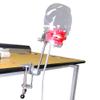 EUSONYSU Manikin Teeth Models Head Simulator Phantom Head Model with Bench Mount for Teaching view 4