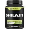 1500mg Shilajit Capsules Extract 5:1 - Immune System, Energy Production, Brain Health & Overall Well-Being Support - 240 Capsules view 1