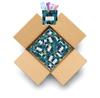 Blue Forest Menstrual Kit All-in-One 50 Pack | Convenience on The Go | Period Kit Pack for Travelling, Tweens & Teenagers or just When Youre Out | Individually Wrapped Feminine Hygiene Product view 1