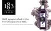 1883 Lavender Syrup for Drinks, Pump Included, Made in France, 1 Liter Plastic Bottle view 3