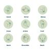 Capsiva Pain Relief Topical 3oz Tube, 3 Pack, for Your Hands, Neck, Back, Joints, Non-Greasy, No Burn, Odor Free, Homeopathic Active Ingredients, Contains Capsaicin & Arnica, Absorbs Fast view 3