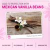 Flor Maya Vanilla Extract  Premium Aged Blend Made with Mexican Vanilla Beans | Gourmet Vanilla Bean Extract for Baking, Cooking & Desserts | Gluten Free, Non-GMO, No Coumarin | 8.45 fl oz view 3