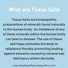 Homeopathic Tissue/Cell Salts Bundle 3X, Dr. Schuessler Cell Salts Full Size Product 900 Tablets Each x 12. view 3