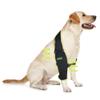KISFLY Dog Elbow Brace Protector for Canine Elbow and Shoulder Support Elbow Calluses Pressure Sores and Shoulder Dislocation Elbow Braces for Dogs Prevent Licking Wound Right Leg M view 1