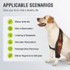 KISFLY Dog Elbow Brace Protector for Canine Elbow and Shoulder Support Elbow Calluses Pressure Sores and Shoulder Dislocation Elbow Braces for Dogs Prevent Licking Wound Right Leg M view 4