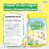 Nat Bit Yogurt Melts  Crunchy Freeze-Dried Yogurt Snack, Real Banana, Healthy Crispy Snack for Teens & Young Adults, Gluten-Free, No Preservatives  Banana Flavors (0.7 oz Pack,12 Count) view 2
