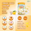 Nat Bit Freeze-Dried Yogurt Snacks  Crispy Mango Bites, Healthy Snack for Kids & Adults, No Preservatives, Gluten-Free Mango Flavors (0.7 oz Packets, 12 Count) view 2