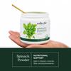 Eclectic Herb - Spinach Powder Supplement | Nutritional Support, Vitamins + Minerals | Superfood Powder + Daily Greens Drink Mix | USDA Organic, Non-GMO, Vegan (3.2 oz | 90 g) view 3