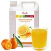 Fanale Premium Flavoring Concentrated Syrup for Bubble Tea 11 lb | Kumquat Flavor Syrup | for Boba Tea, Smoothies, Slushes, Desserts | 11lb | Pack of 4 | SRP150-CS view 1