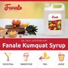 Fanale Premium Flavoring Concentrated Syrup for Bubble Tea 11 lb | Kumquat Flavor Syrup | for Boba Tea, Smoothies, Slushes, Desserts | 11lb | Pack of 4 | SRP150-CS view 4