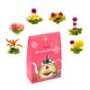 TETWIN Organic Blooming Tea Flowers 6 Tea Balls USDA Hand Tied Natural Black Tea Leaves & Edible Flowers Gifts for Tea Lovers