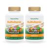 NaturesPlus Animal Parade Gold Children's Multivitamin - Orange Flavor - 120 Chewable Tablets, Pack of 2 - Gluten Free - 120 Total Servings view 1