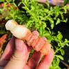 Natural Quartz Mineral Specimen Meat Pork Belly Bacon Stone Collection Gift 70mm-80mm 1pc view 2