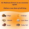 Earth Cap Mushrooms Sunrise 6 Mushroom Supplement Capsule - Chaga, Cordyceps, Lion's Mane, Maitake, Reishi, Turkey Tail, Real Fruiting Body - No Fillers view 3