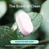 BLUELAND Bathroom Cleaner, 4-Pack Refill, Eucalyptus Mint Scent, Eco-Friendly Cleaning Supplies, 4 x 24 Fl oz view 3