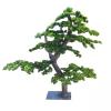 ESRADA Pine Tree Welcome Pine Bonsai Exhibition Hall False Tree Sales Office Chinese-Style Indoor Dry Scene Green Plant Decoration Floor-to-Ceiling Landscaping 1 * 1m view 3
