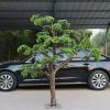 ESRADA Pine Tree Welcome Pine Bonsai Exhibition Hall False Tree Sales Office Chinese-Style Indoor Dry Scene Green Plant Decoration Floor-to-Ceiling Landscaping 3 * 2m view 4