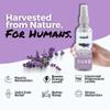Magnesium Oil Spray w/Essential Oil (Lavender) for Restlessness, Deep Sleep, Relax, Aches, Cramp, Muscle Tension - Fast Absorb - Sourced from Dead Sea (8 fl oz) by Get Green, Human view 2
