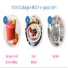 Ikigai Collagen with NAD+ (30 Servings) - Non-GMO, Gluten-Free, Paleo, Kosher - No Flavor, Includes Free Drink Mixer view 3