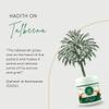 MENT Alima TALBINA with Dry Dates 750 grms | A Healthy & Sunnah Diet for All Age Group view 4