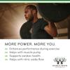 Nitric Oxide Supplement (Stim Free Pre Workout) - Nitric Oxide Booster with Nitrosigine, L Arginine, and L Citrulline (Clinically Studied to Boost No2 Nitric Oxide Flow) 180 Capsules by Double Wood view 4