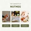 Nature Packaged Nutmeg Essential Oil - Direct from Central Java, Indonesia - Pure Essential Oils for Diffusers, Muscle Relief and Aromatherapy | Premium Therapeutic Grade (22lbs) view 2