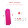 LEBEMPEL Vibrating Pantees with Wireless Controller Portable and Powerful view 3