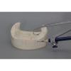 Tooth Profile Measurement Compass Denture Model Analysis Tools Denture Making Tools view 2