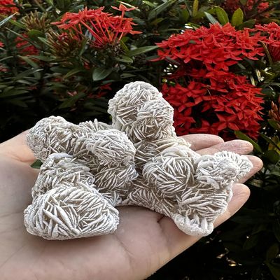 Large Desert Rose Cluster, Natural Desert Rose Selenite Stones, Desert Gypsum Rose, Raw Selenite Rose Crystal, Rose Rock, Sand Rose (0.3-0.5 lb)