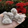 Large Desert Rose Cluster, Natural Desert Rose Selenite Stones, Desert Gypsum Rose, Raw Selenite Rose Crystal, Rose Rock, Sand Rose (0.3-0.5 lb) view 1