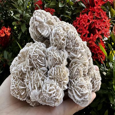 Large Desert Rose Cluster, Natural Desert Rose Selenite Stones, Desert Gypsum Rose, Raw Selenite Rose Crystal, Rose Rock, Sand Rose (1-2 lbs)