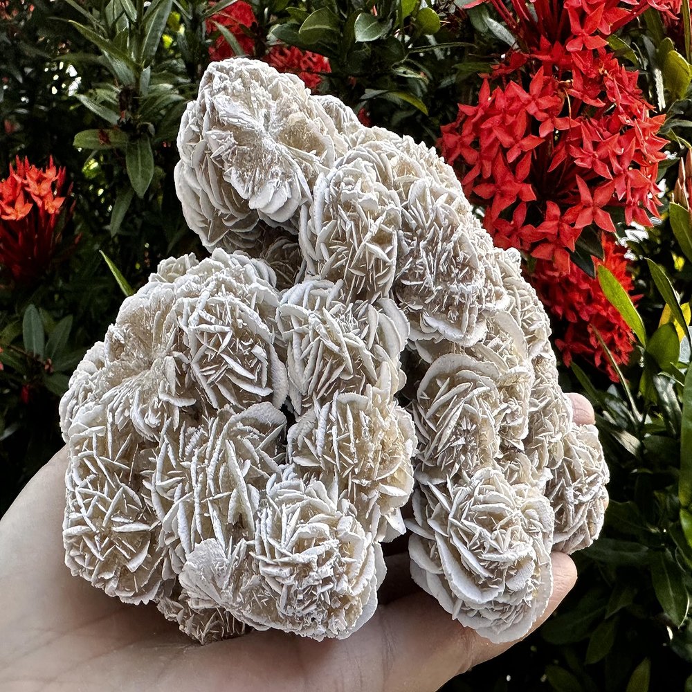 Large Desert Rose Cluster, Natural Desert Rose Selenite Stones, Desert Gypsum Rose, Raw Selenite Rose Crystal, Rose Rock, Sand Rose (1-2 lbs)
