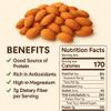 Anna and Sarah Natural BITTER Apricot Kernels 16 oz, 100% Natural Whole Raw Apricot Seeds, Sun Dried, Gourmet Ingredients, Kosher, Vegan, Gluten Free, Spices and Seasonings for Cooking, Large Size Bulk in Resealable Bag view 2