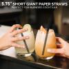 Chunspak 5.75 inch 8mm Wide Short Black Paper Drinking Straws Disposable for Lowball Glasses, Blended Cocktails, Margaritas, Bars, Restaurants - Unwrapped [250 Counts] view 3