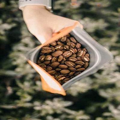 5 LBS 100% Hawaiian Kona Coffee Extra Fancy - Medium Roast, Whole Bean