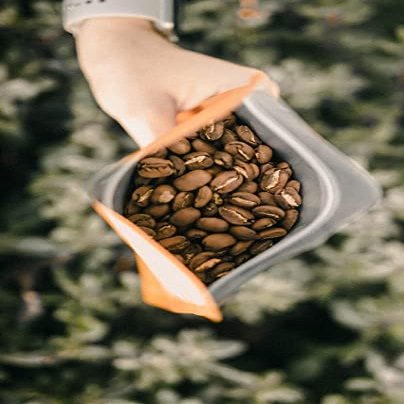 5 LBS 100% Hawaiian Kona Coffee Extra Fancy - Medium Roast, Whole Bean