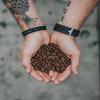 5 LBS 100% Hawaiian Kona Coffee Extra Fancy - Medium Roast, Whole Bean view 2