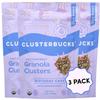 Clusterbucks Superfood Clusters  Grain-Free, Keto-Friendly Granola with Regeneratively Grown Sprouted Buckwheat Gluten-Free, Low-Carb, Organic Healthy Snack (3-Pack, Birthday Cake) view 1