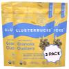 Clusterbucks Superfood Clusters  Grain-Free, Keto-Friendly Granola with Regeneratively Grown Sprouted Buckwheat Gluten-Free, Low-Carb, Organic Healthy Snack (3-Pack, Bucks 'n Honey) view 1