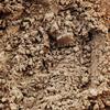 Candy Retailer Cocoa Powder (Dutch, 1 Lb) view 3