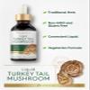 Carlyle Turkey Tail Mushroom Extract Liquid | 2 FL Oz | Herbal Tincture Drops | Vegetarian Formula | Non-GMO, Gluten Free Supplement view 4