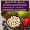 Grit Fuel Endurance Capsules - Epicatechin, Iso-Quercetin for VO Max Energy & Stamina For Men and Women - High Purity Antioxidant Flavonoids Endurance Supplement for Runners - 30 Day Supply view 4
