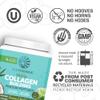 Vegan Collagen Protein Powder for Women Silica Plant Based Collagen Powder with Vegan Hair Skin and Nails Vitamins Non-GMO No Added Sugar Soy Dairy & Gluten Free (Coconut Matcha, 20 Servings) view 3